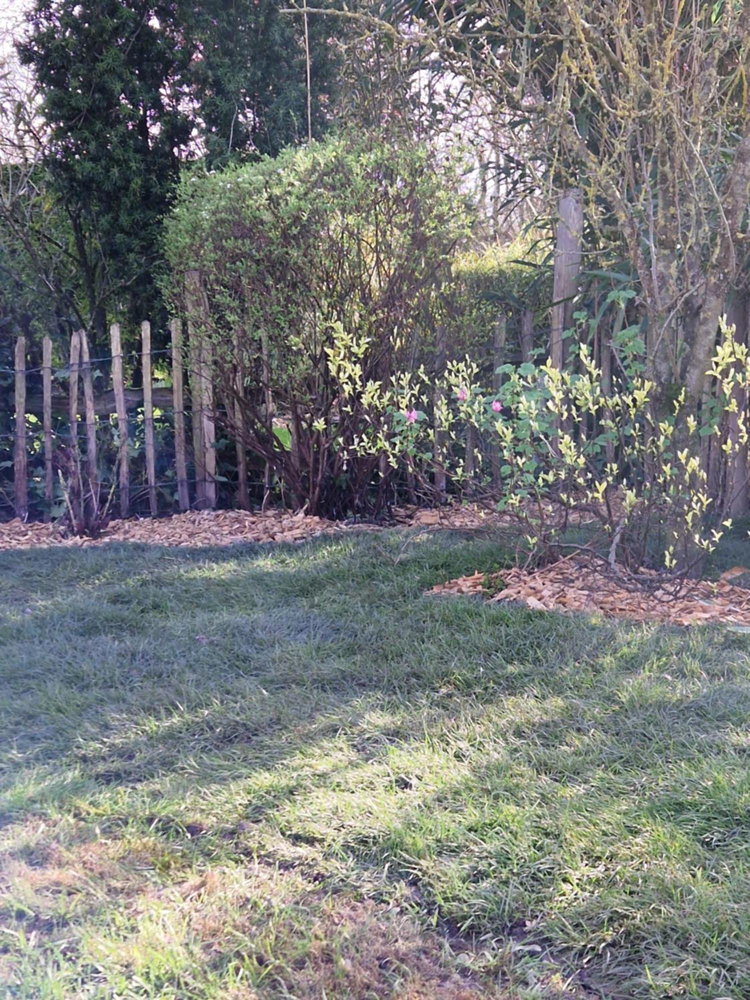 Kustverhuur, Groede, Paarlhof 17